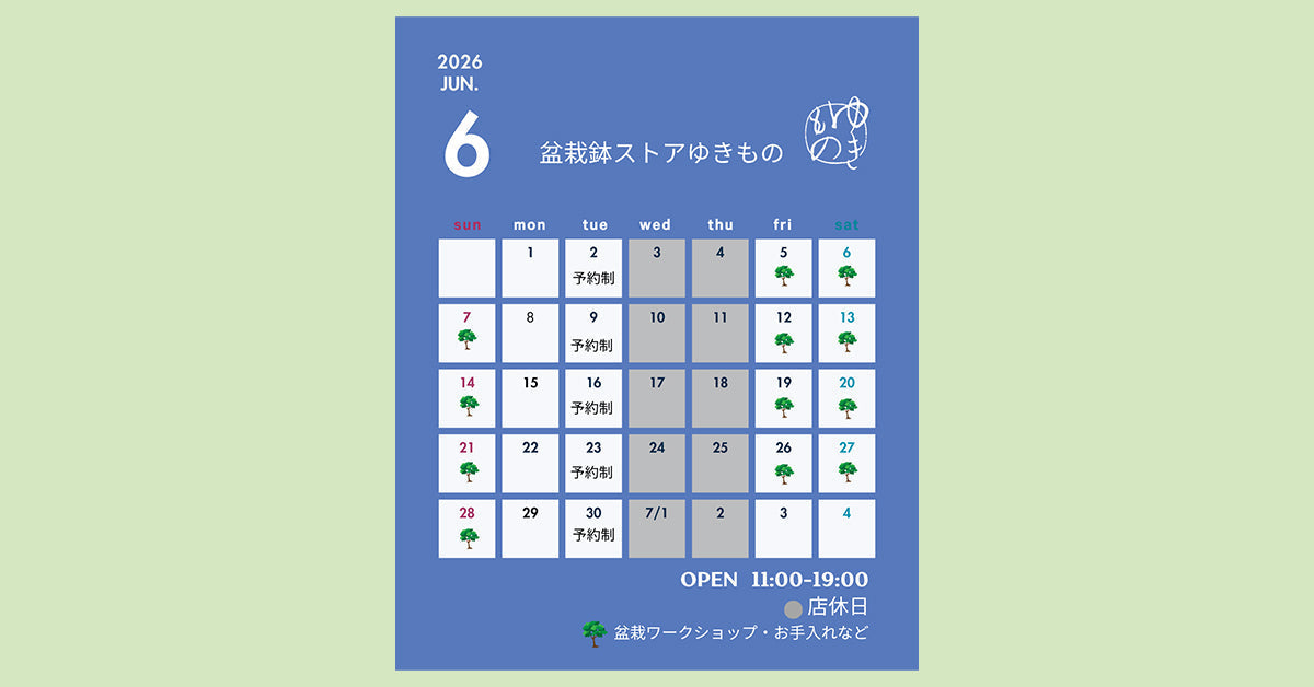 盆栽鉢ストアゆきもの