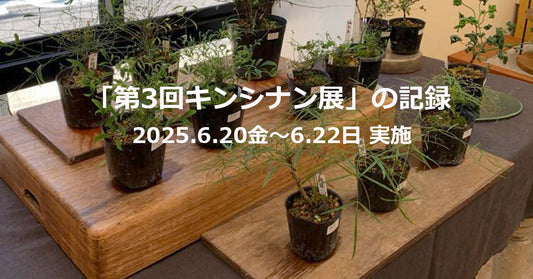 第3回キンシナン展の記録