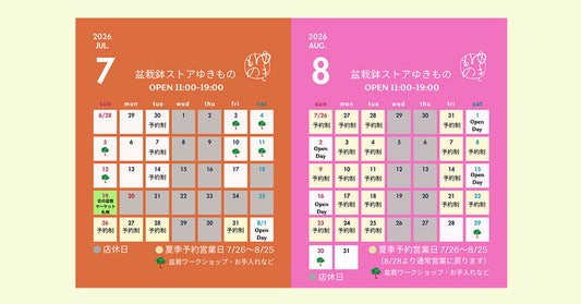 2026年7月・8月の店舗営業ご案内