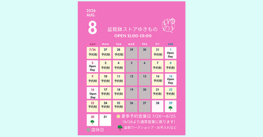 2026年8月の店舗営業ご案内