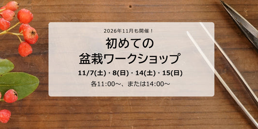2026年11月 初めての盆栽ワークショップ