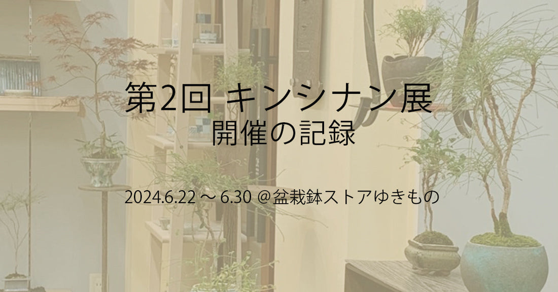 第2回キンシナン展　開催の記録