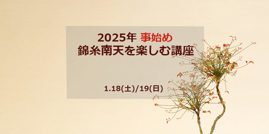 2025年事始め 錦糸南天を楽しむ講座