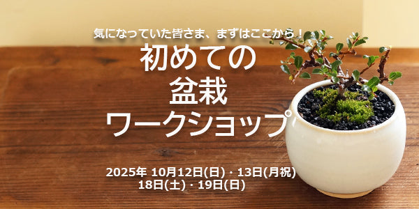 初めての盆栽ワークショップ2025