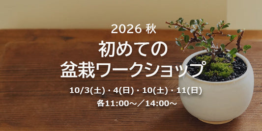 2026秋 初めての盆栽ワークショップ