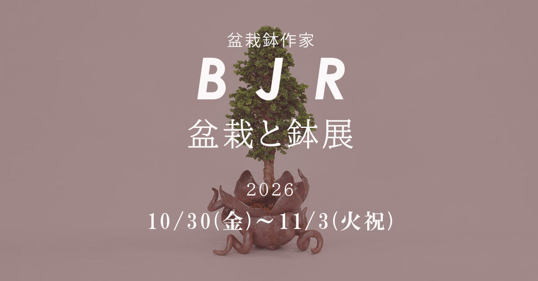 盆栽鉢作家BJR「盆栽と鉢 展」