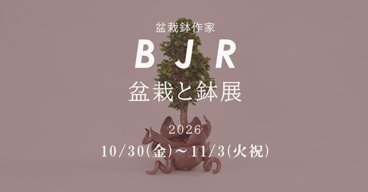 盆栽鉢作家BJR「盆栽と鉢 展」