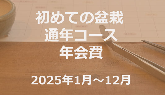 初めての盆栽 通年コース年会費(2025年1月～12月）