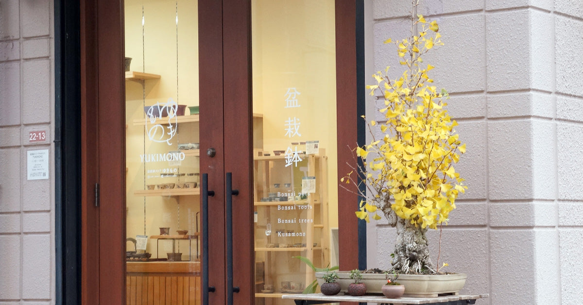 盆栽鉢ストアゆきもの