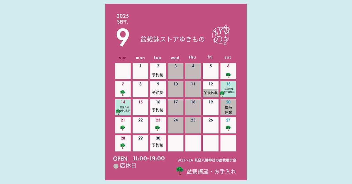 盆栽鉢ストアゆきもの