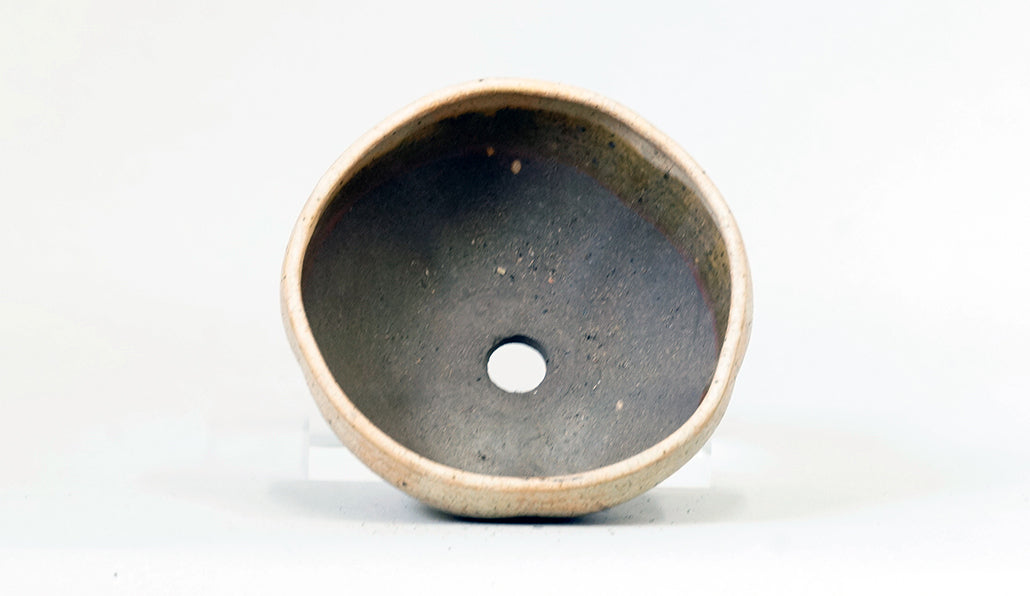 梅花型鉢 艸屋 11cm A072