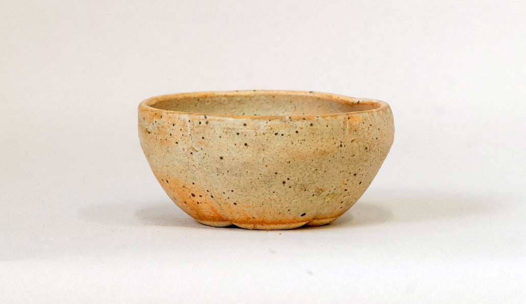 梅花型鉢 艸屋 11cm A073