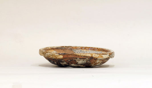 白とベージュの浅鉢 越前文山 16.3cm B067