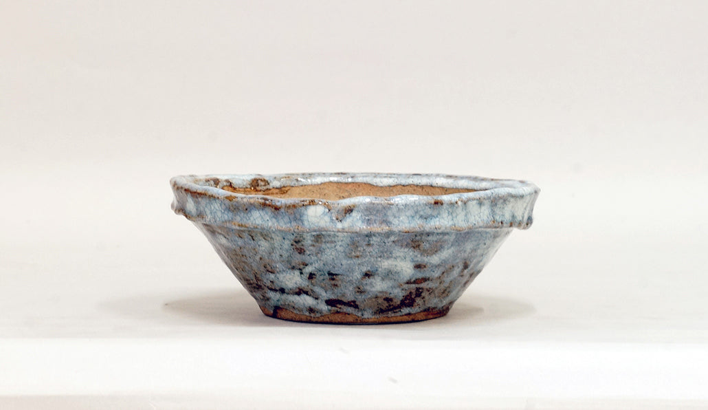 白釉縁付丸鉢 越前文山 15cm B088