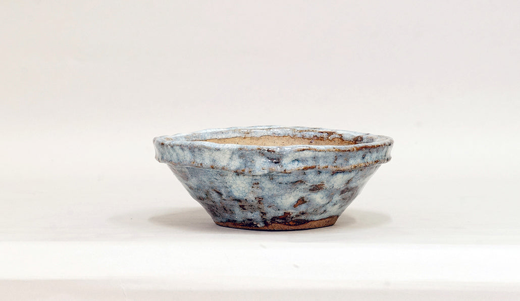 白釉縁付丸鉢 越前文山 15cm B088