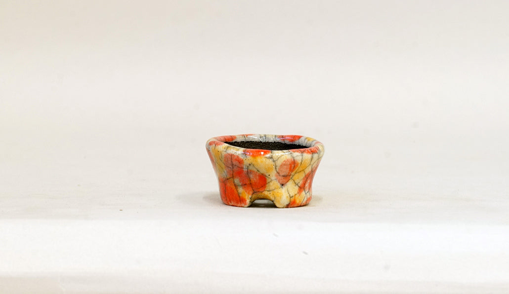 盆栽鉢ストアゆきもの｜盆栽鉢｜越前文山