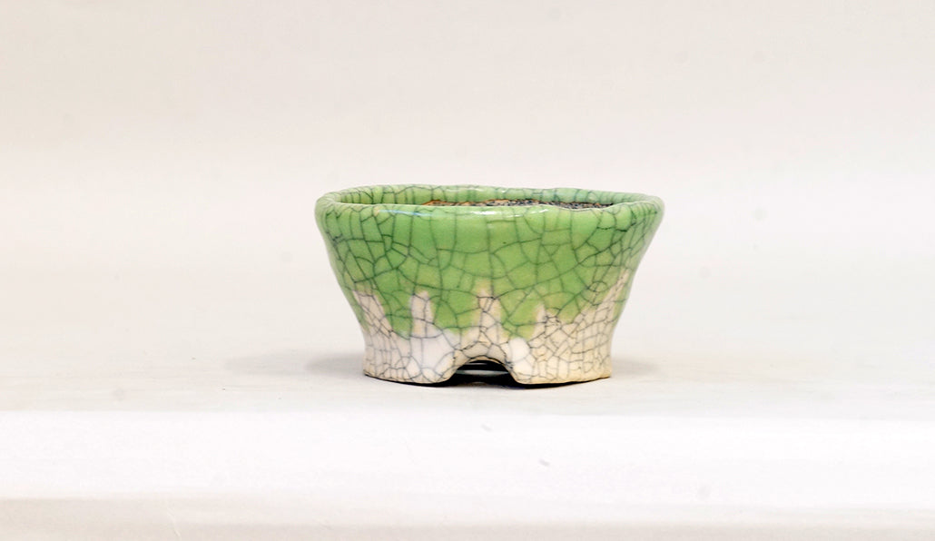 盆栽鉢ストアゆきもの｜盆栽鉢｜越前文山