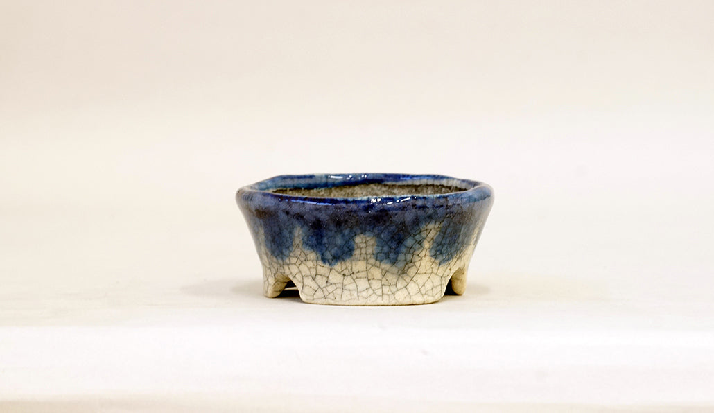 盆栽鉢ストアゆきもの｜盆栽鉢｜越前文山