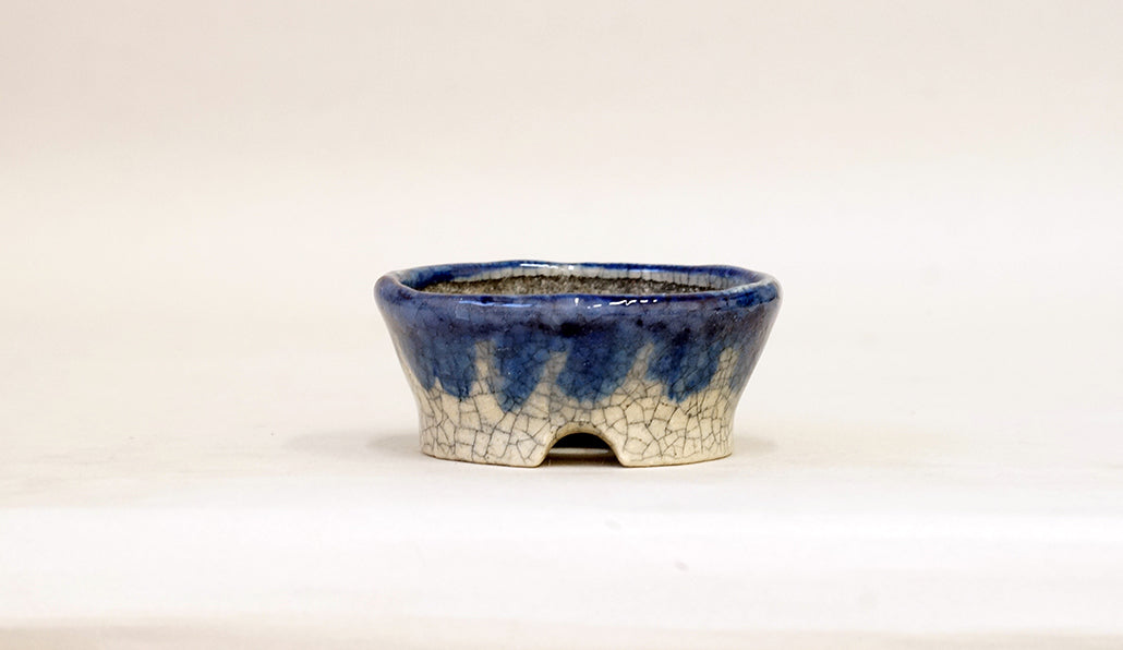 盆栽鉢ストアゆきもの｜盆栽鉢｜越前文山