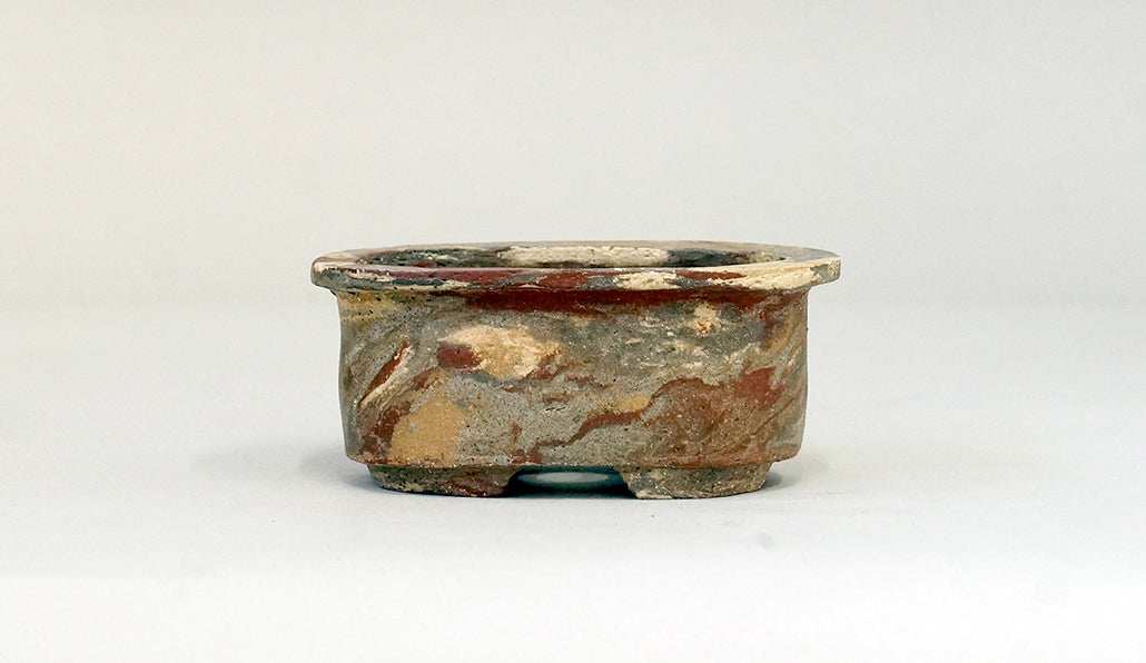 商品 – 盆栽鉢ストアゆきもの