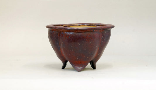 すもも色の鉢 カリーナ 13.5cm C23035