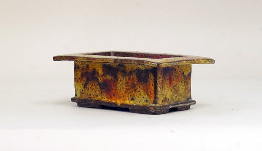 赤と黄の広縁長方鉢 カリーナ 14.2cm C24059