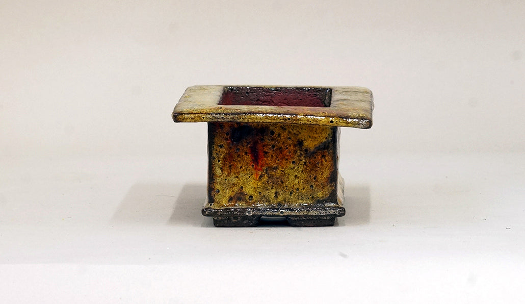 赤と黄の広縁長方鉢 カリーナ 14.2cm C24059