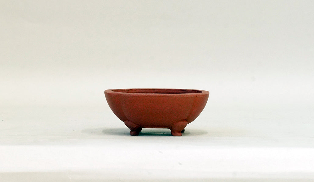 正方浅木瓜鉢 英明 8.8cm E602