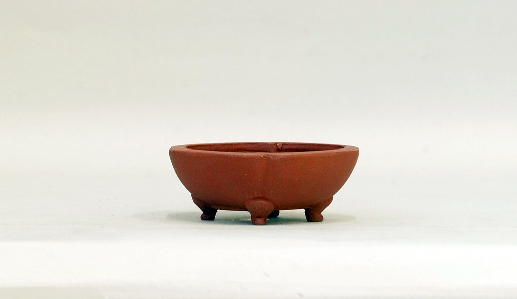 正方浅木瓜鉢 英明 8.8cm E602