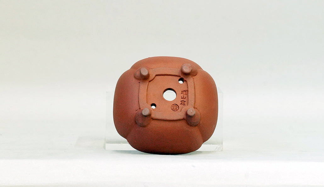 正方浅木瓜鉢 英明 8.8cm E602