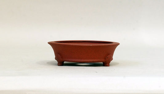 浅丸鉢猫脚 英明 9.3cm E584