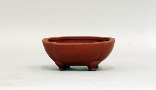 正方木瓜鉢 英明 8.8cm E591