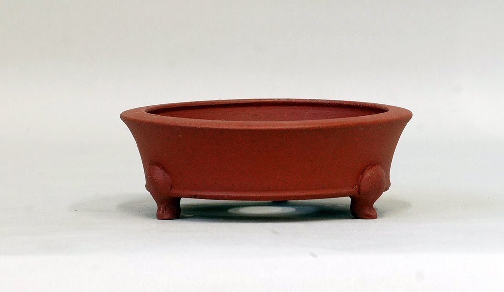 浅丸鉢猫脚 英明 11.8cm E592