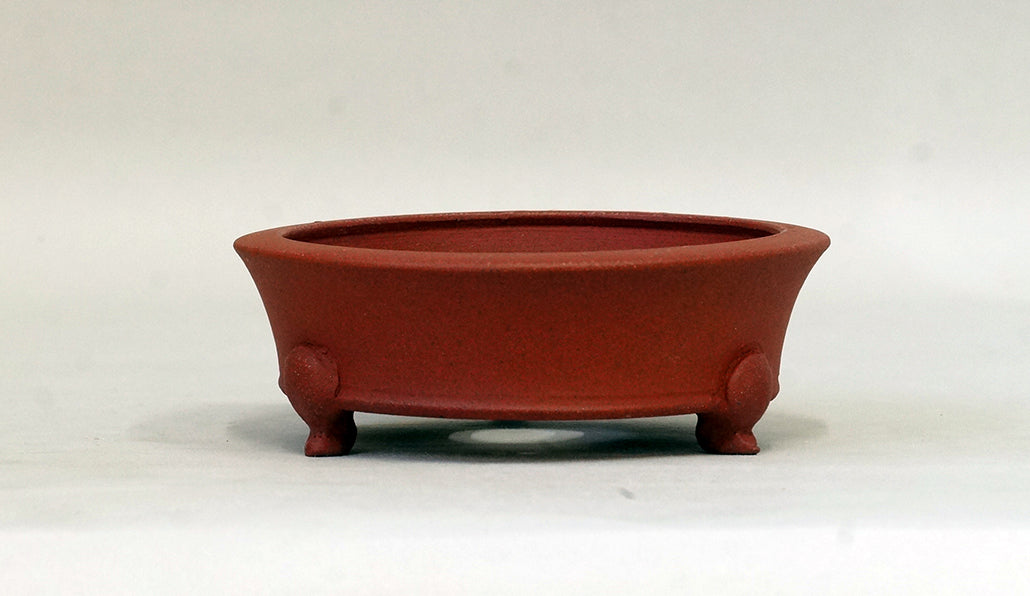 浅丸鉢猫脚 英明 11.8cm E592