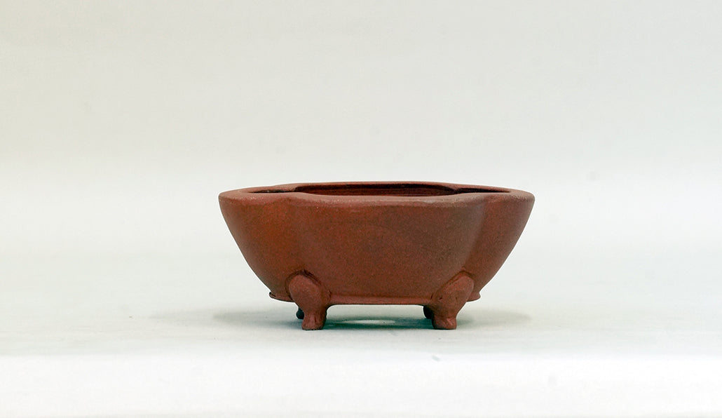 正方木瓜鉢 英明 9.3cm E595