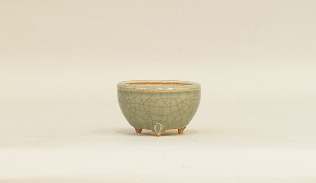 青磁釉丸鉢 英明 6cm E597