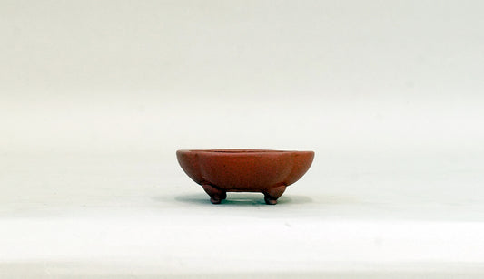 正方浅木瓜鉢 英明 6.8cm E604