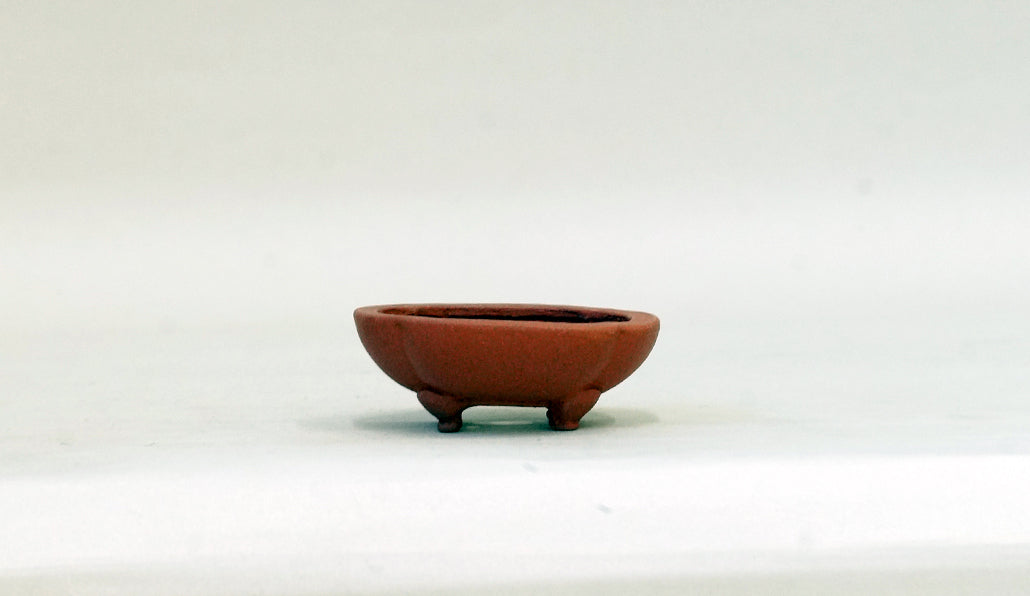 正方浅木瓜鉢 英明 6.8cm E604