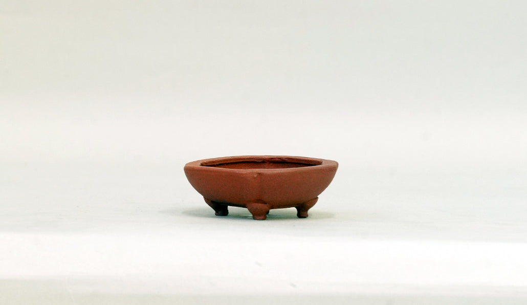 正方浅木瓜鉢 英明 6.8cm E604