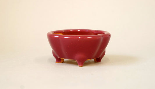 桃色の木瓜正方鉢 英明 7.5cm E610