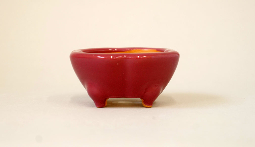 桃色の木瓜正方鉢 英明 7.5cm E610