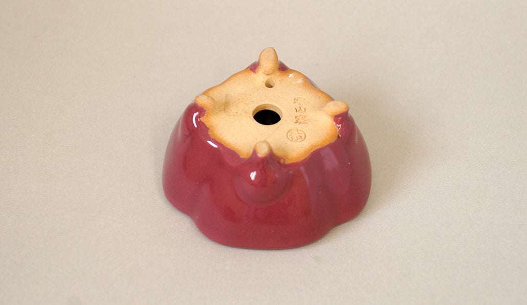 桃色の木瓜正方鉢 英明 7.5cm E610