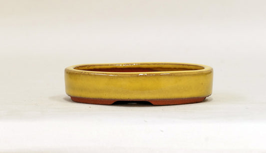 黄色の浅い小判鉢 英明 10.5cm E611
