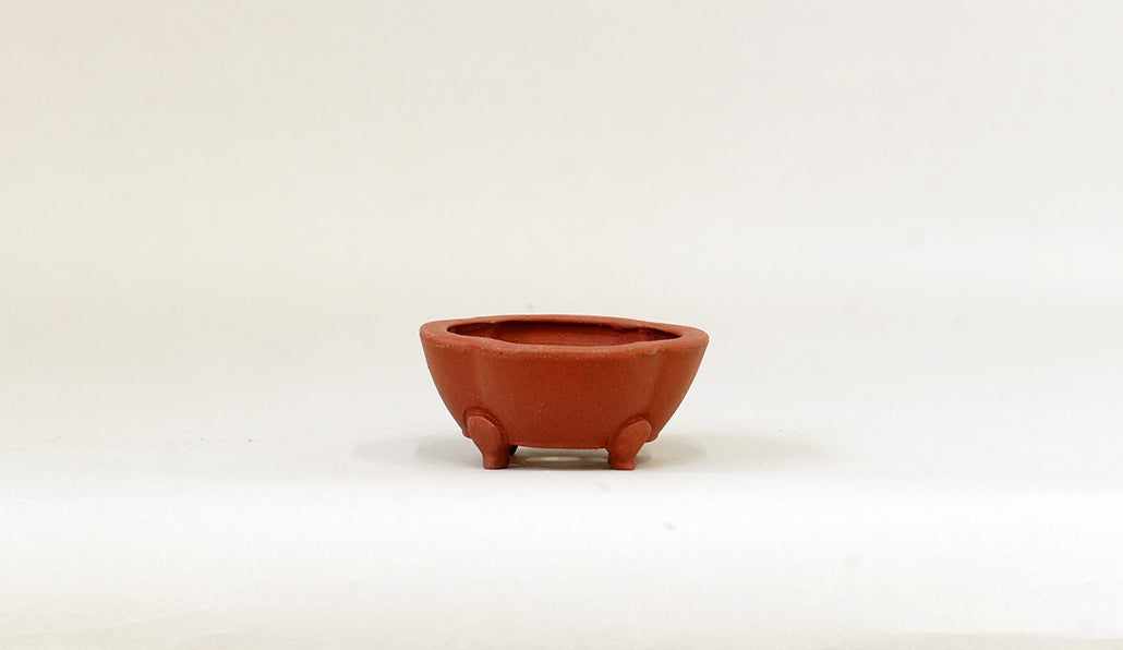 正方木瓜鉢 英明 6.9cm JE001