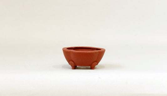 正方木瓜鉢 英明 6.9cm JE001