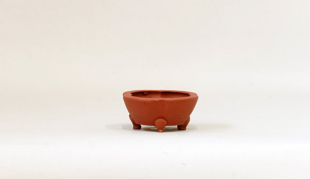 正方木瓜鉢 英明 6.9cm JE001