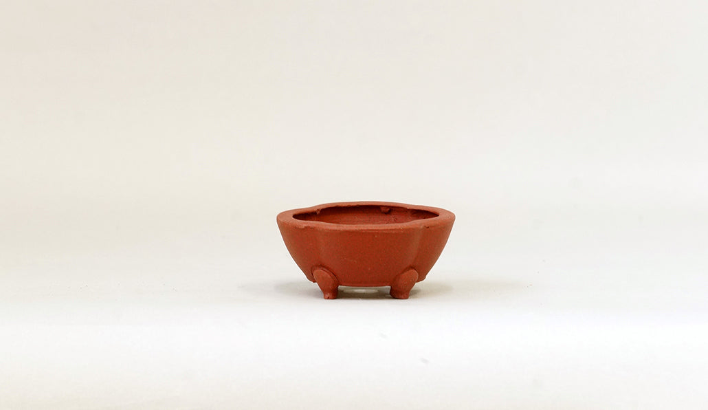 正方木瓜鉢 英明 6.9cm JE001