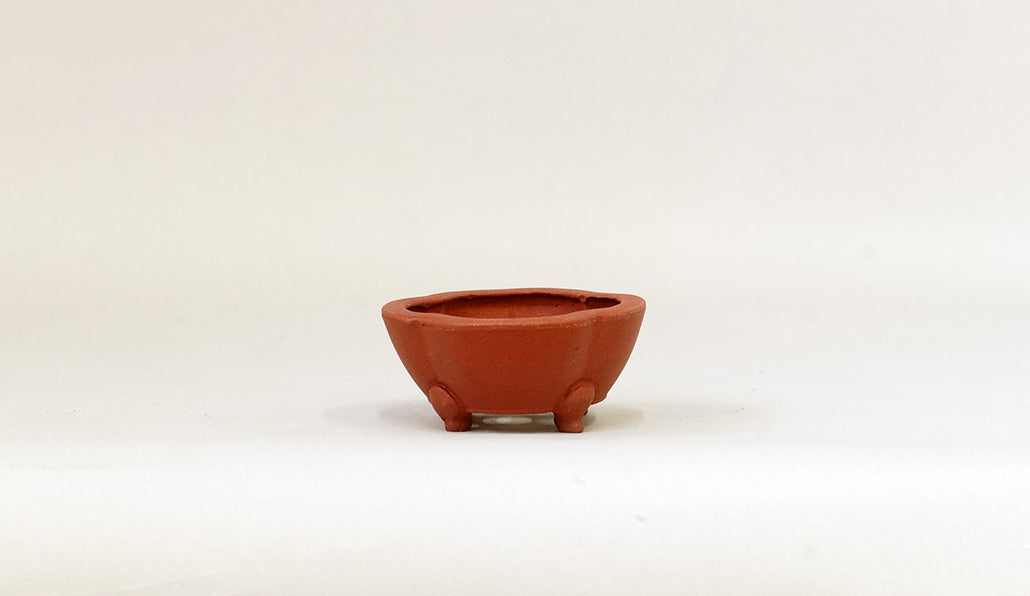 正方木瓜鉢 英明 6.9cm JE001