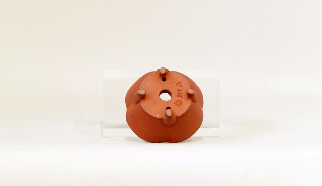 正方木瓜鉢 英明 6.9cm JE001