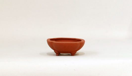 正方浅木瓜鉢 英明 7.9cm JE003